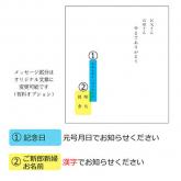 3839tY8_01_11_i.jpg